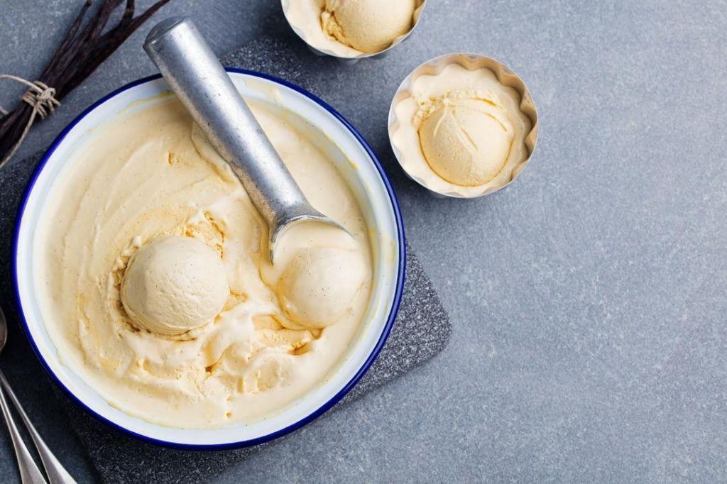 Breville Ice Cream Maker Vanilla Bean Ice Cream