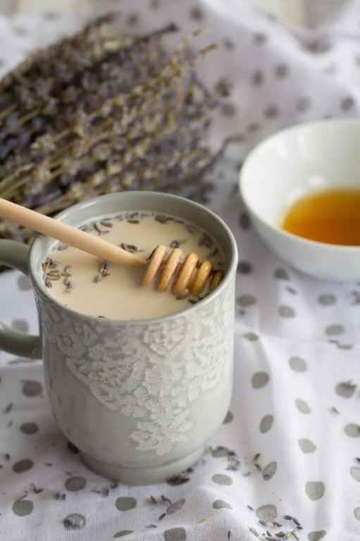 20 Delicious Breville Recipes for Every Occasion