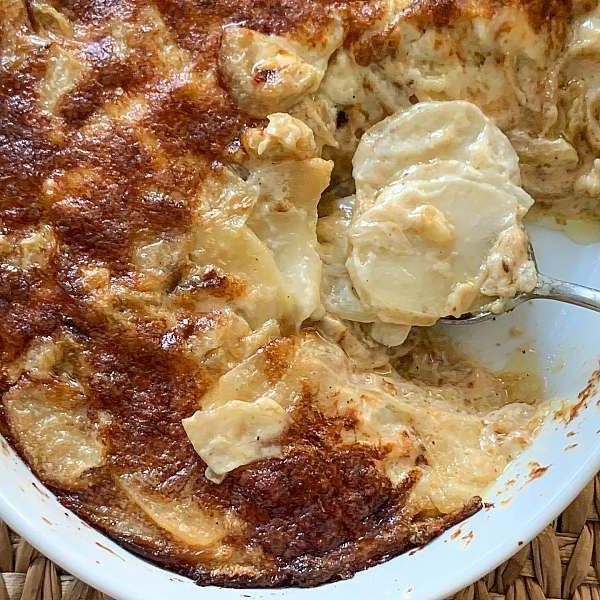 Creamy Fennel and Potato Gratin