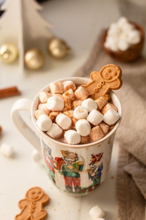 Gingerbread Hot Chocolate with Baileys