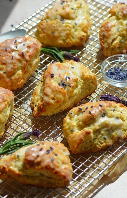 Lavender Honey Starbucks Scones