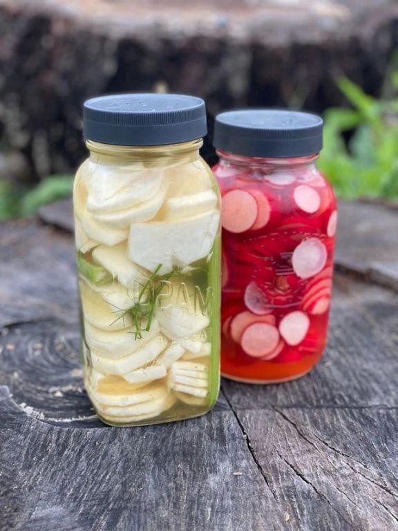 Pickled Squash and Radish Quick Pickles