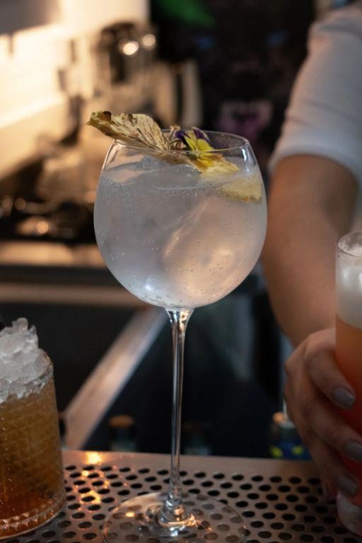 Pisco and Tonic