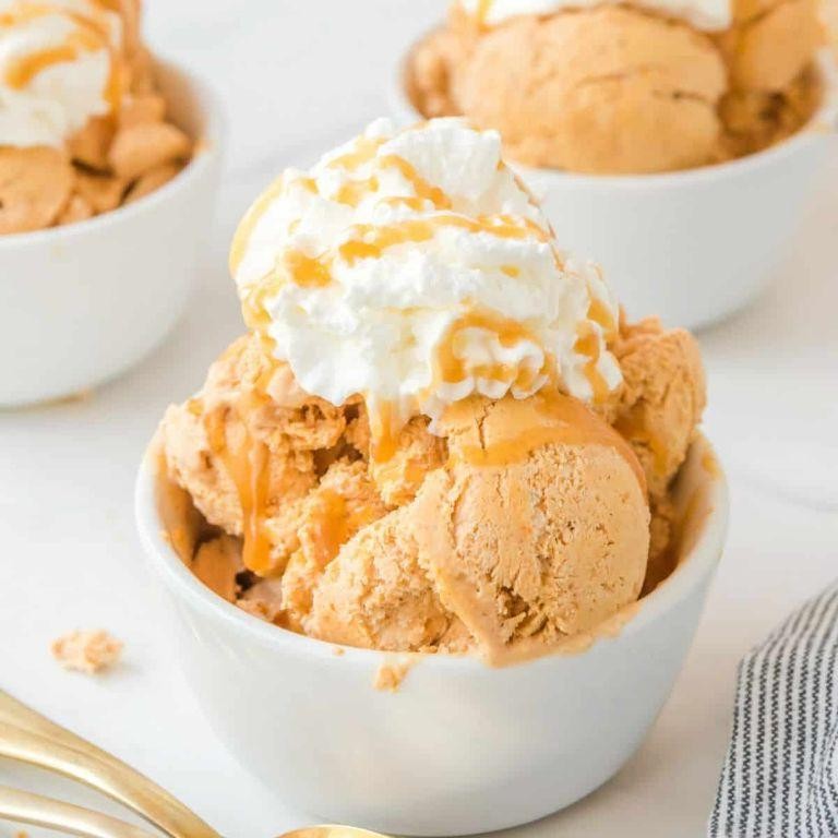 Pumpkin Spice Sugar-Free Ice Cream