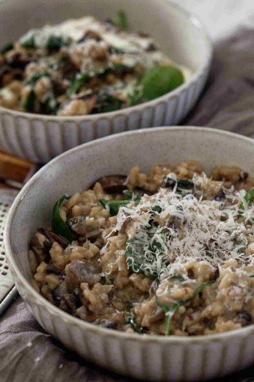 RockCrok Mushroom and Spinach Risotto