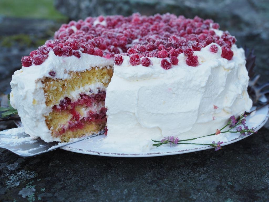 Swedish Lingonberry Sponge Cake