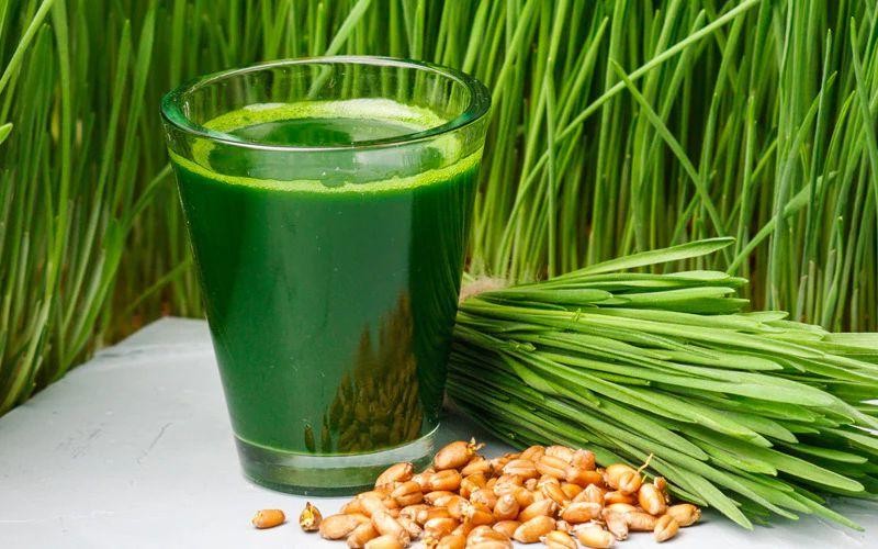 Wheatgrass and Orange Energizing Juice